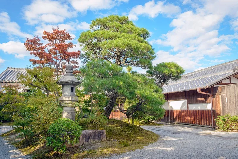 草木に関する様々なご依頼に対応